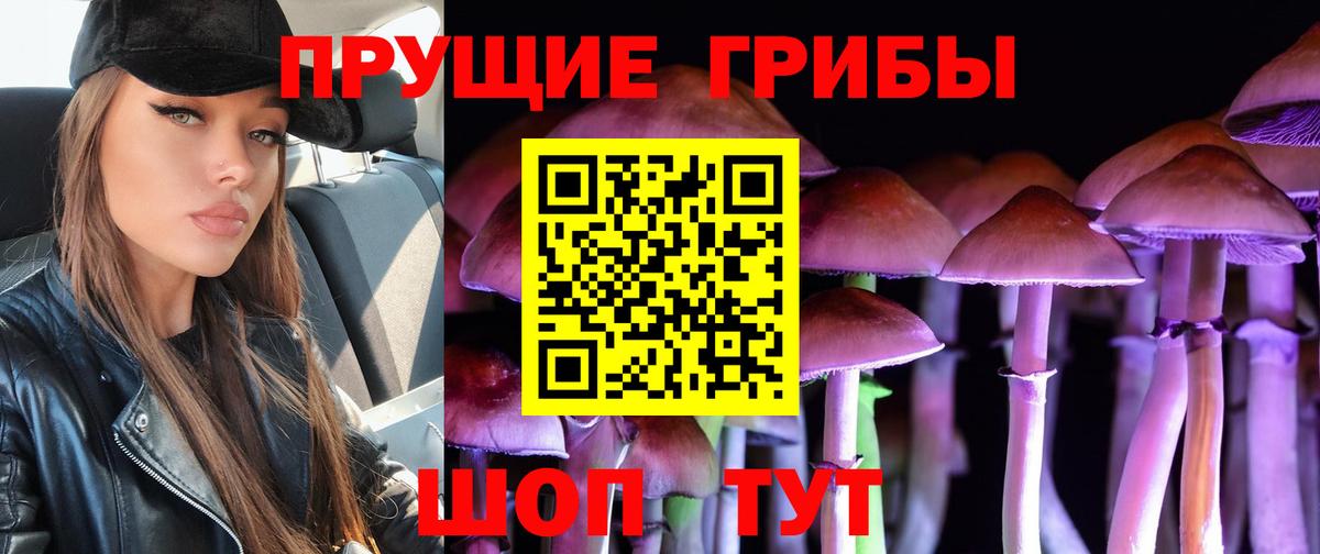 Галлюциногенные грибы мицелий  Вход с VPN  Костомукша 